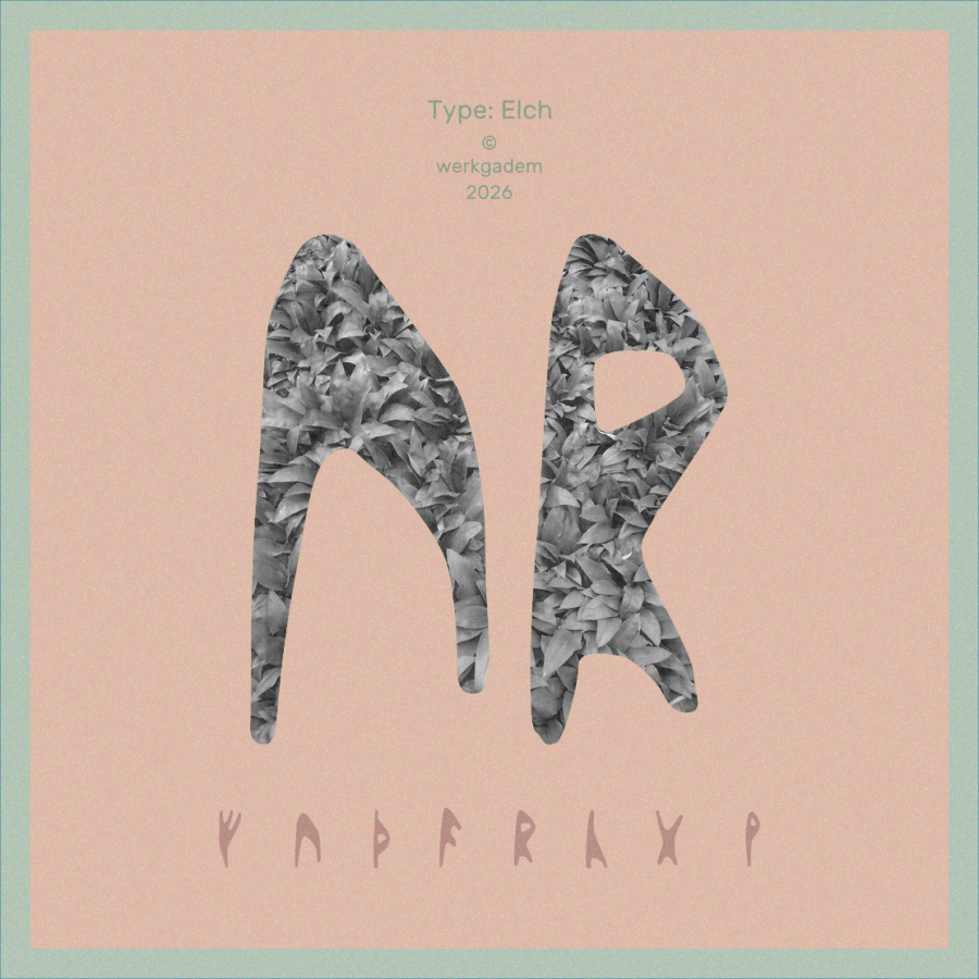 Werkgadem_Runen_Elch_Pre_CB_2021-2026